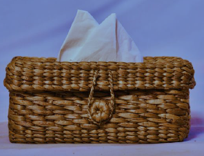 Water Hyacinth Tissue Box | Handcrafted Eco-Friendly Tissue Holder